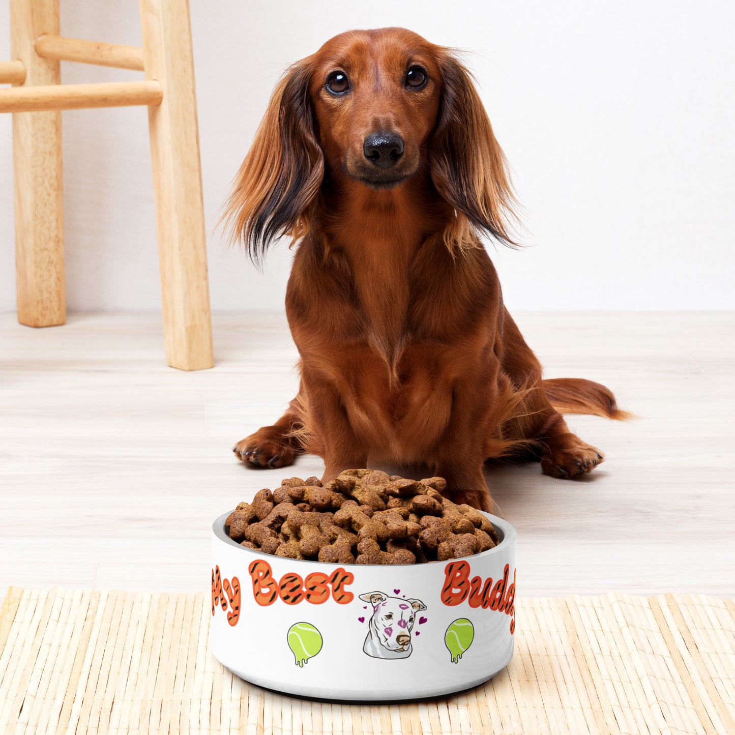 My Best Buddy Pet Bowl