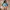 Image all-over-print-recycled-long-sleeve-crop-top-white-front-6a11f00543687.jpg: A smiling woman wearing IslandWear's high-performance blue tie-dye long sleeve crop top rash guard with solid blue raglan sleeves against a neutral sandy backdrop.